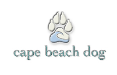 cape beach dog - travel website